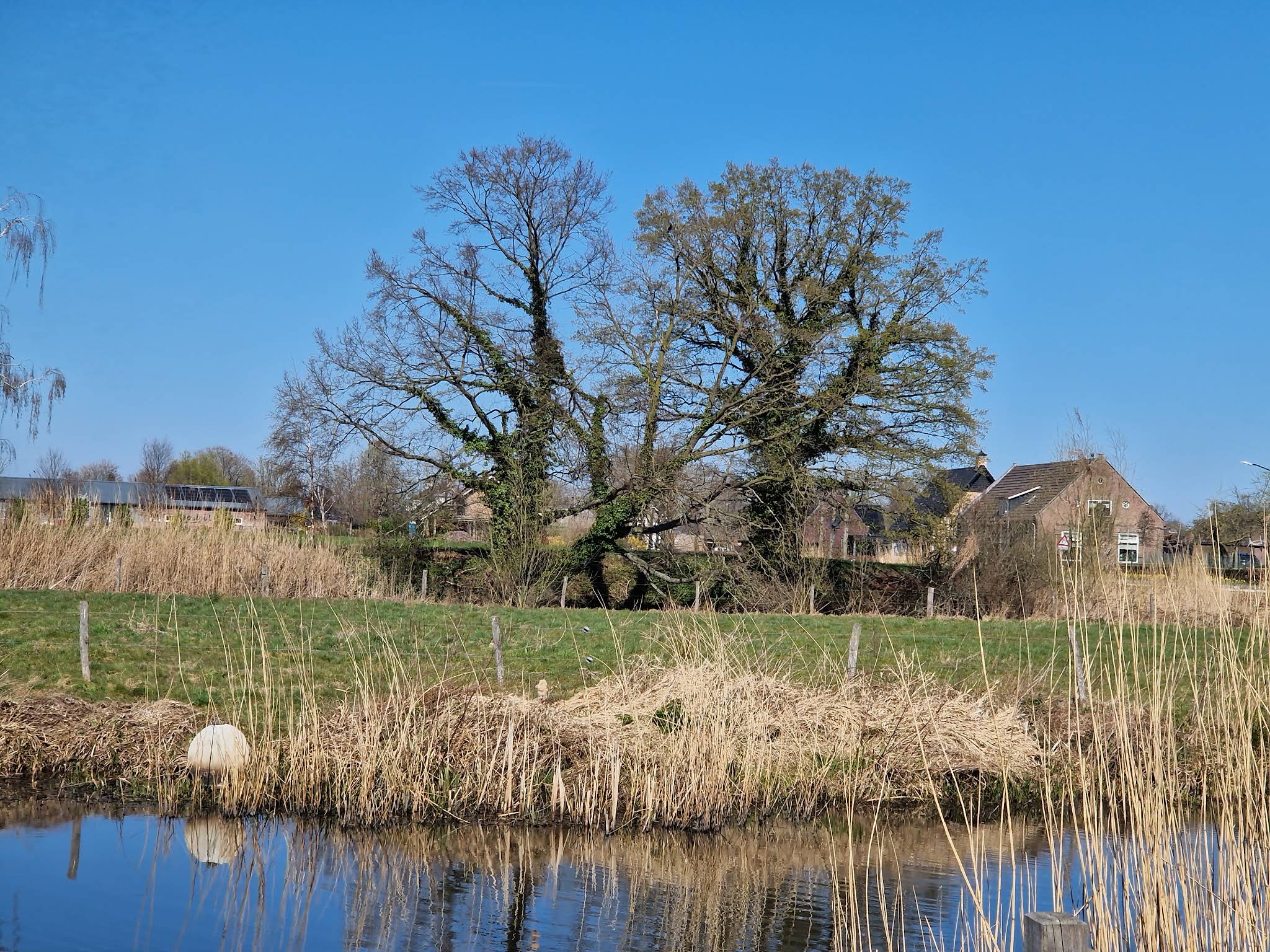Centrum en water in Meierijstad